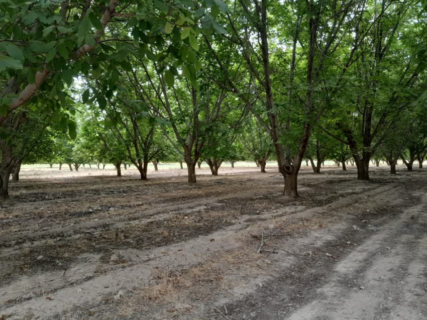 20251008 094141 274317847