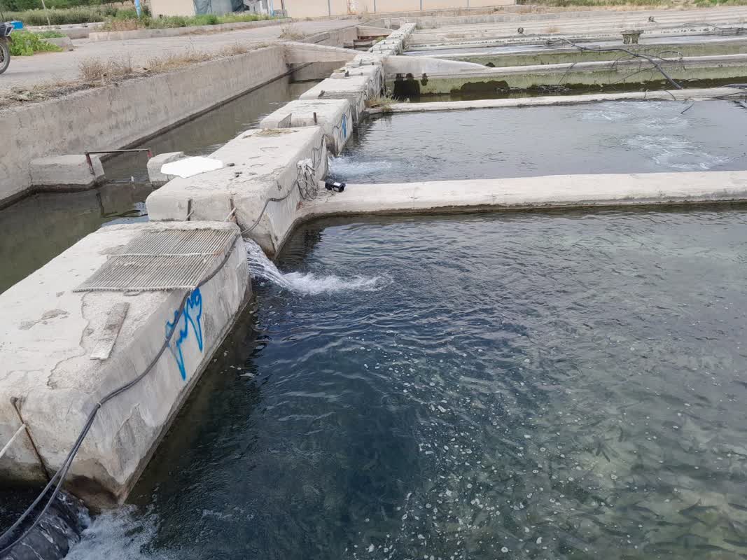 4badce22 9428 43c1 87f1 7aae01fb0086