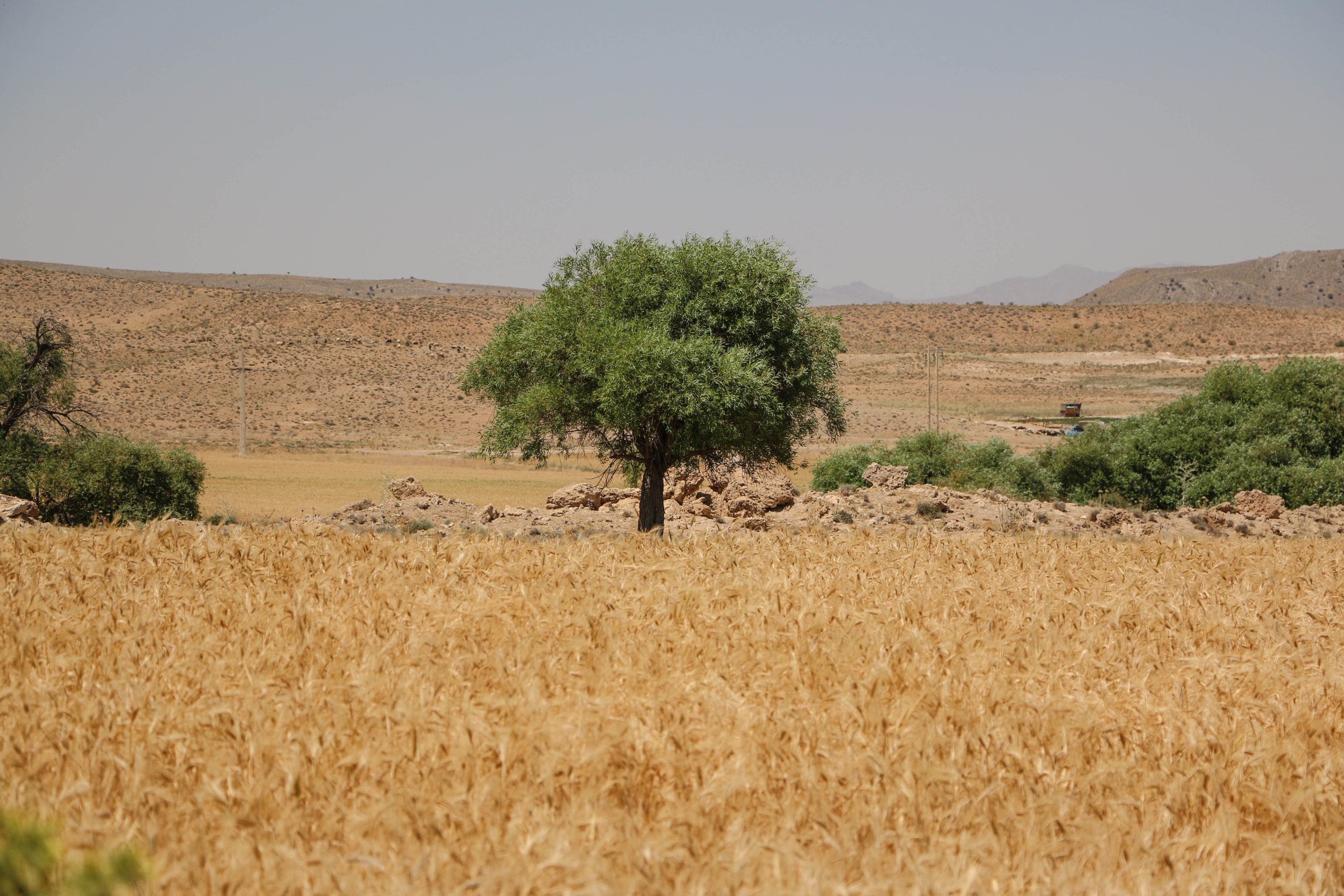 xc6mhota9gw2jyq5l13sd4e7nfriu8pbvzk 1 scaled